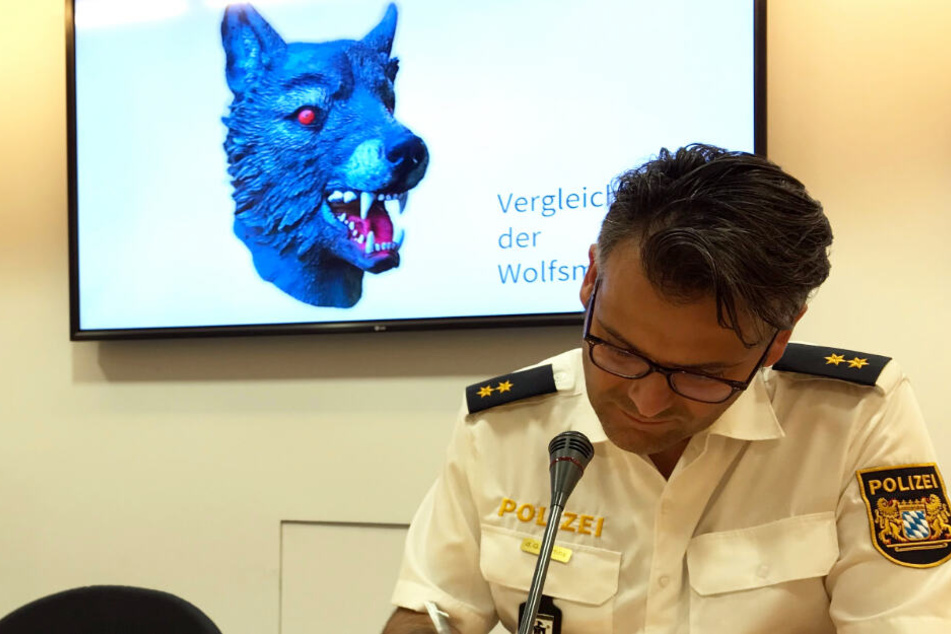 Der Verdächtige soll bei der Vergewaltigung des Mädchens eine Wolfsmaske getragen haben.