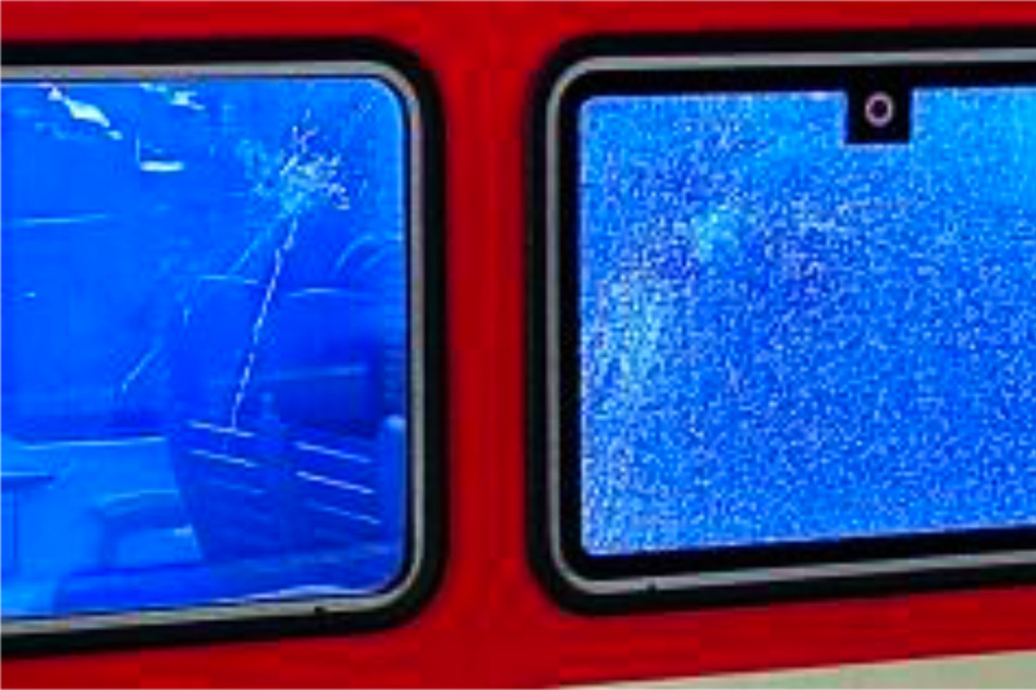 Zugpassagier wird auf fehlende Maske angesprochen und rastet komplett aus