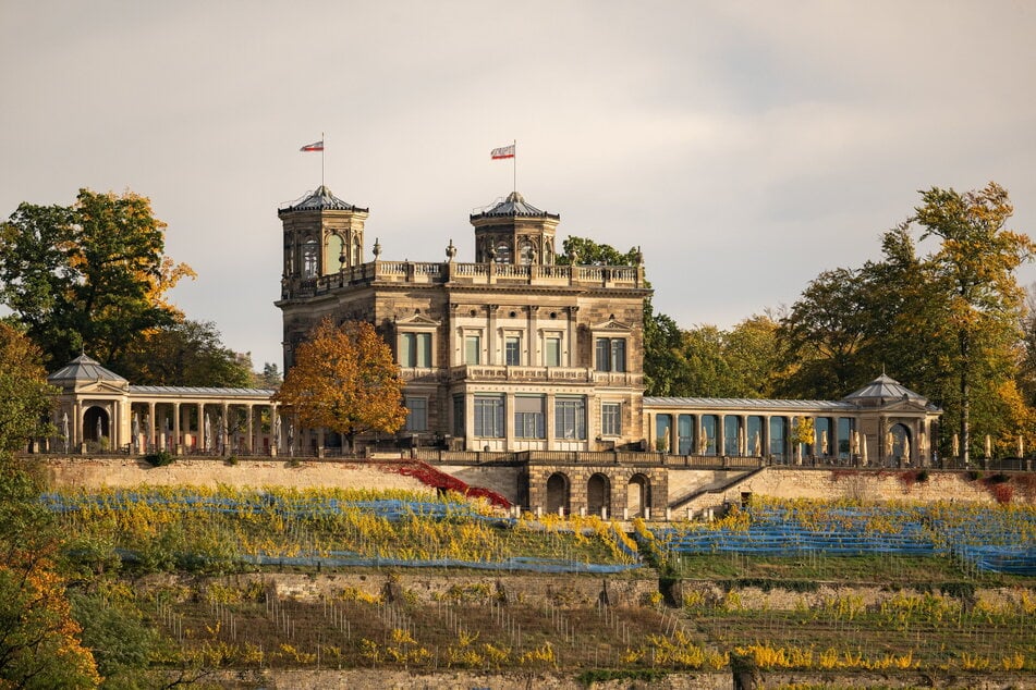 Das Lingnerschloss.