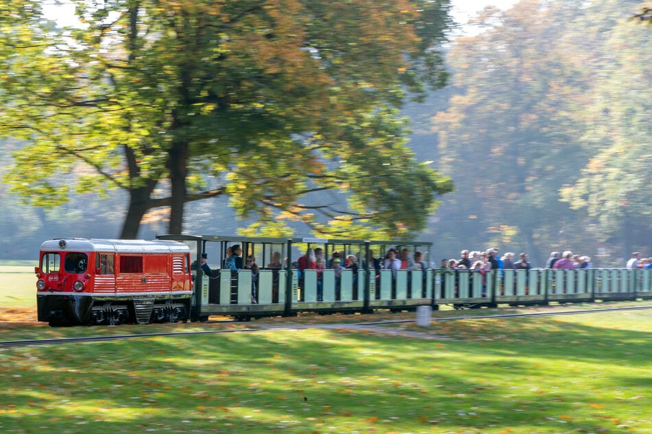 Ein ehemaliger Mitarbeiter der Dresdner Parkeisenbahn soll eine sexuelle Beziehung mit einem Jugendlichen gehabt haben.