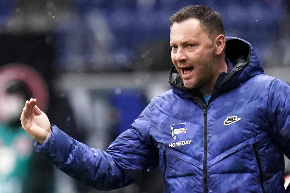 Hertha-Trainer Pal Dardai soll die Berliner vor dem Abstieg bewahren.
