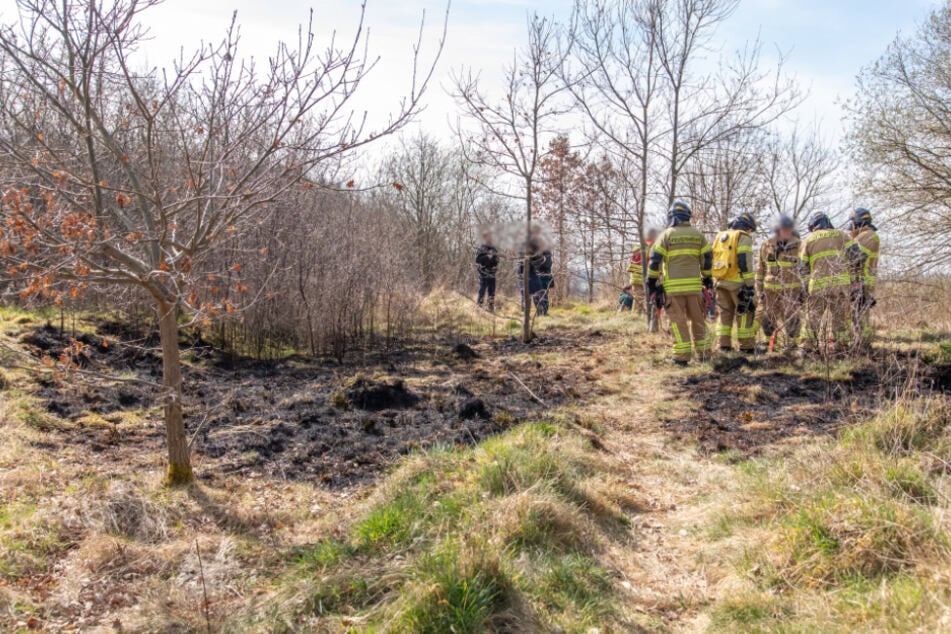 Offenbar experimentierten Kinder mit einem Feuerzeug, als es zu dem Feuer kam.