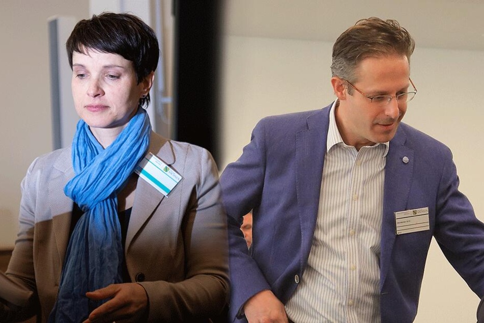 Prozess Gegen Ex Afd Chefin Petry Ehemann Will Abgeordnete Anzeigen 24