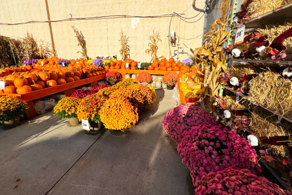 Get ready for fall with these popular garden essentials at Home Depot