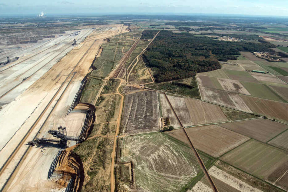 Der Tagebau Hambach und der verbliebene Rest des Hambacher Forstes am Rand.