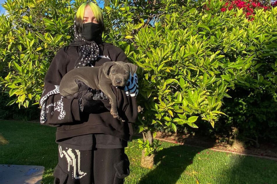 Billie Eilish (19) dresses nearly exclusively in baggy clothes.