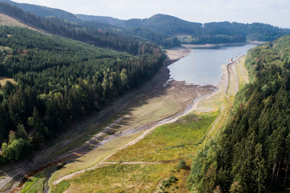 Kaum Regen, hoher Verbrauch: Das Trinkwasser aus dem Harz, auf das Millionen Menschen angewiesen sind, könnte knapp werden.