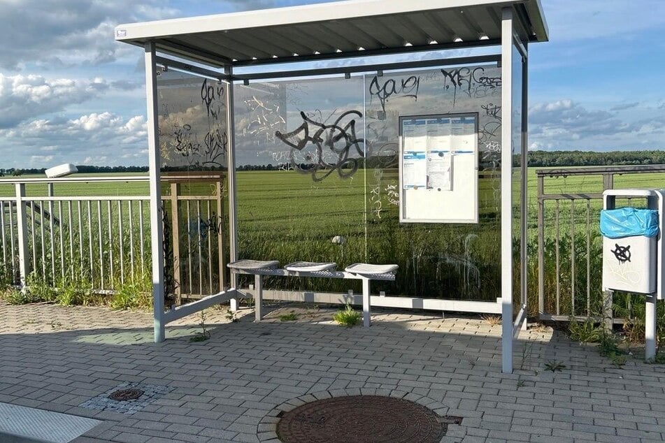 Die Frau hatte an der dortigen Bushaltestelle gewartet. Als sie von dem Unbekannten angesprochen wurde und sie daraufhin gehen wollte, kam es zu der Attacke.