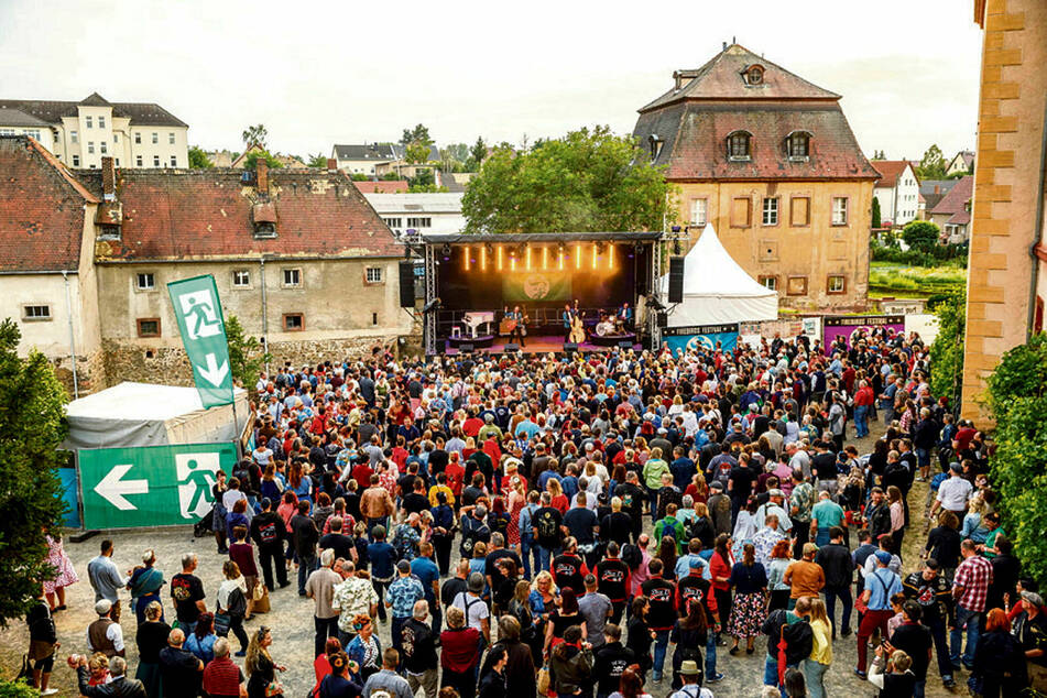 Täglich 2000 Besucher rockten den Innenhof von Schloss Trebsen beim "Firebirds"-Festival.