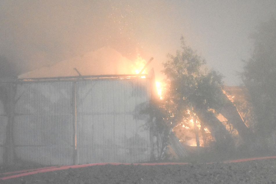 In einer Fahrzeughalle brach das Feuer aus.