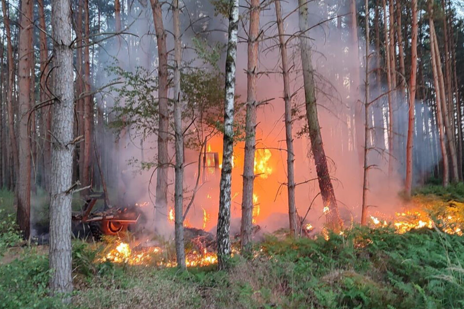 Brennende Erntemaschine droht, Wald in Brand zu stecken!