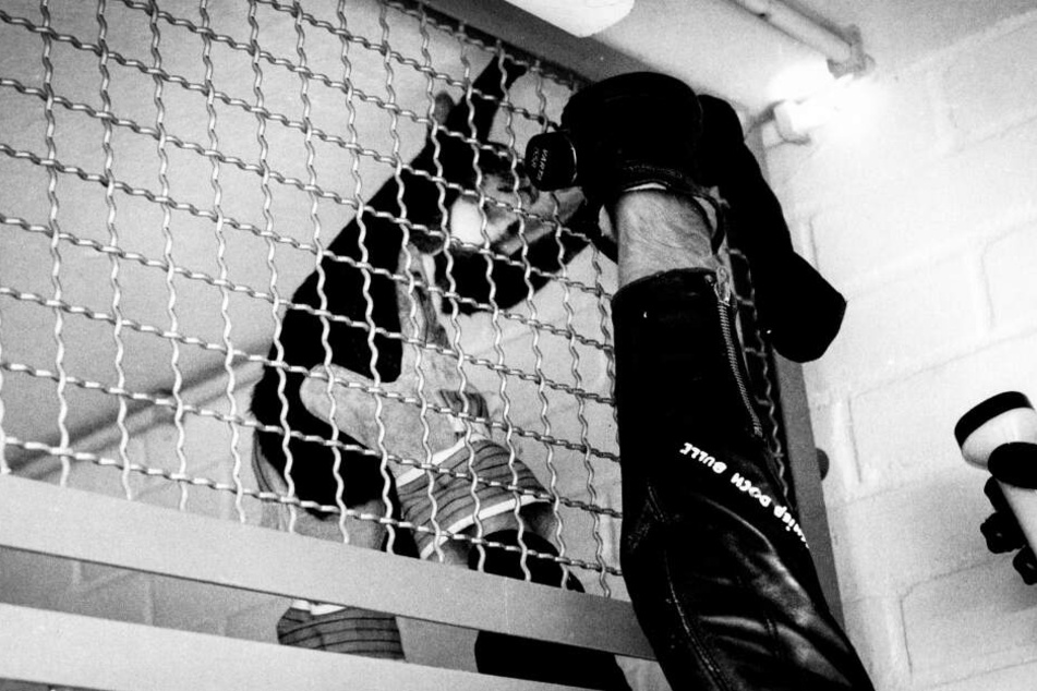 Karin Mück gehörte zu einer Gruppe radikaler Tierschützer, die in Versuchslabore einbrach und die gequälten Lebewesen aus ihrer misslichen Lage befreite.