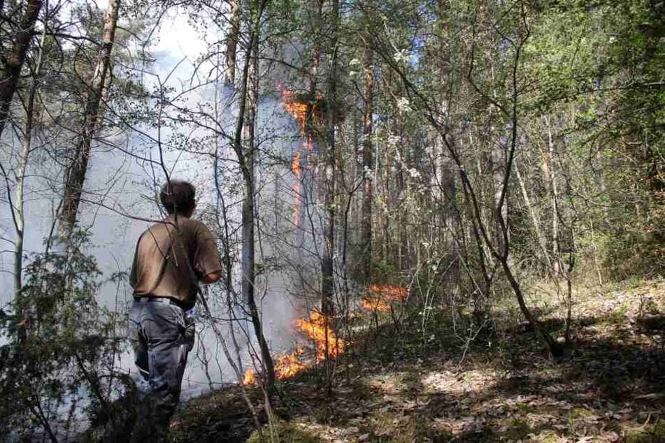 In Plaue wurde seit Mittwoch gegen das Feuer gekämpft.