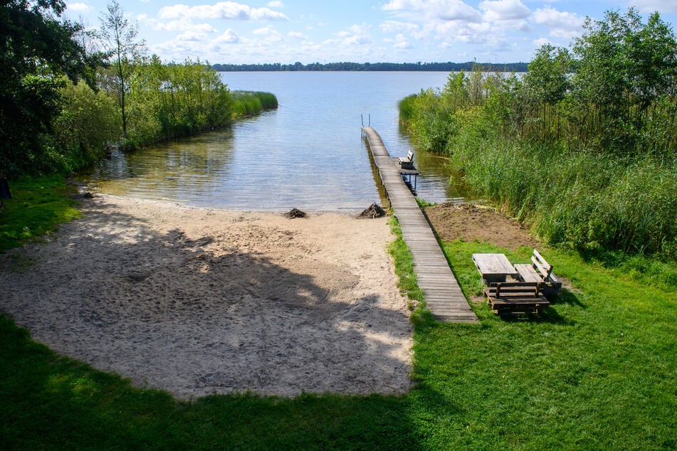 Gegen das Algenproblem im Arendsee darf nicht vorgegangen werden, entschied der Landkreis.