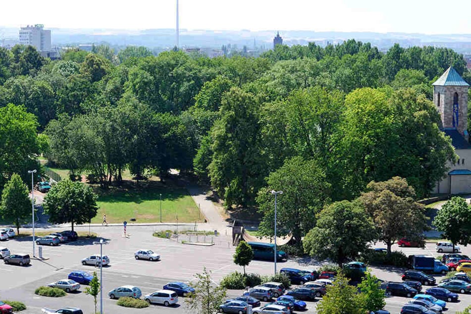 Ein 29-Jähriger wurde im Park der OdF verletzt. (Archivbild)