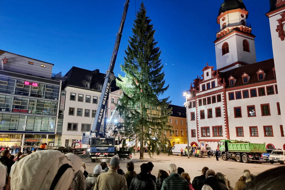 Hunderte Besucher beobachteten die Aufstellung des neuen Weihnachtsbaums auf dem Chemnitzer Marktplatz.