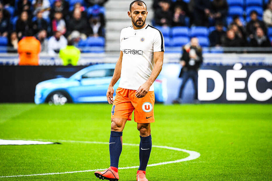 Hilton ist auch mit 41 Jahren noch Stammspieler beim aktuellen Tabellensechsten der ersten französischen Liga, dem HSC Montpellier.