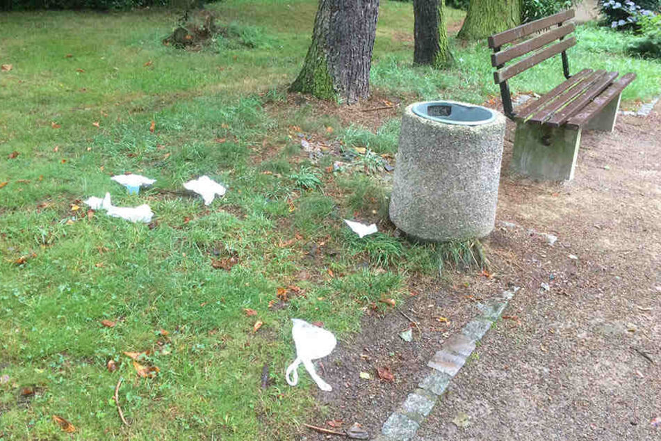 Volle Papierkörbe, Müll im Rasen - der Stadtpark bietet derzeit kein schönes Bild.