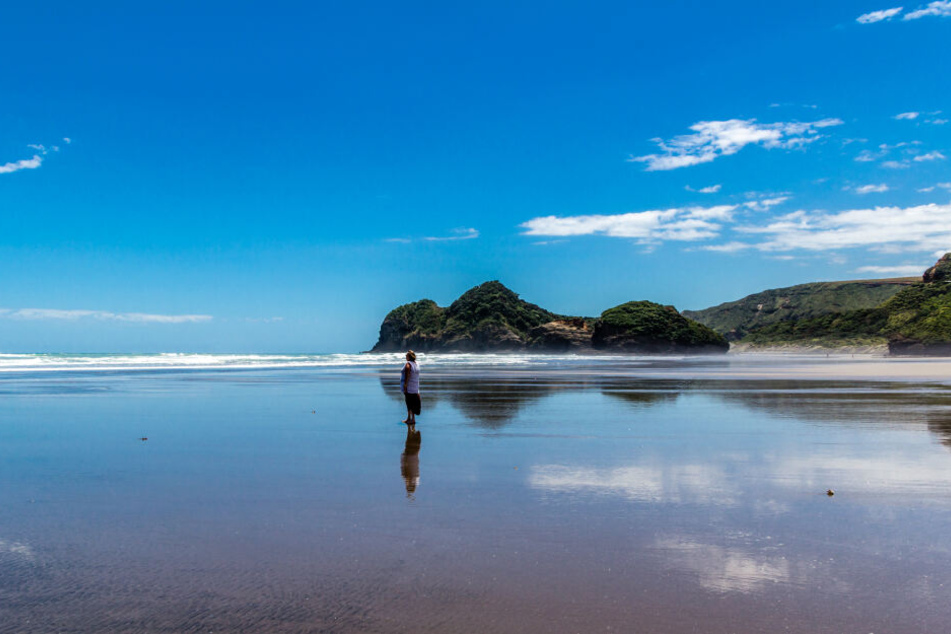 Der Bethells Beach in Neuseeland.
