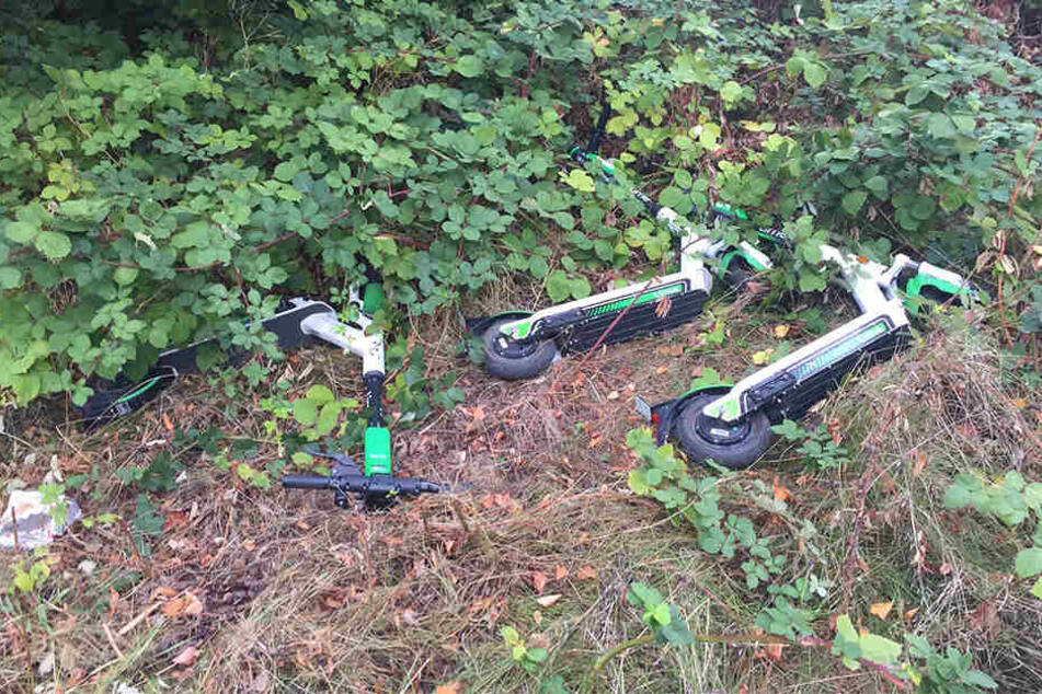 Am Plauenschen Ring wurden die Scooter sogar achtlos ins Gebüsch geschmissen.
