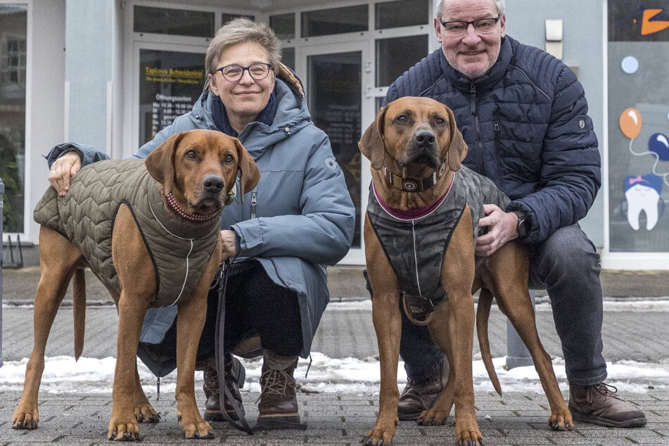 Jörg (59) und Carmen Düring (58) freuen sich, dass Ridgebacks wie Trudel (2, l.) und Carlos (8) nun trocken durchs Leben kommen.
