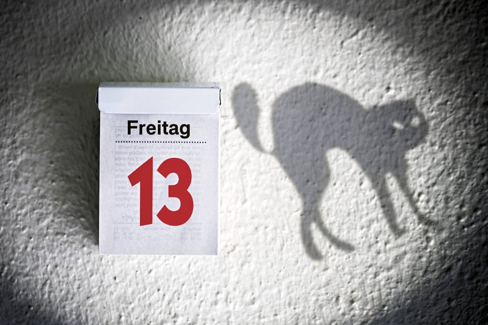 Schwarze Katze und Unglück am Freitag, den 13.? Daran glauben die Radiomoderatoren nicht.