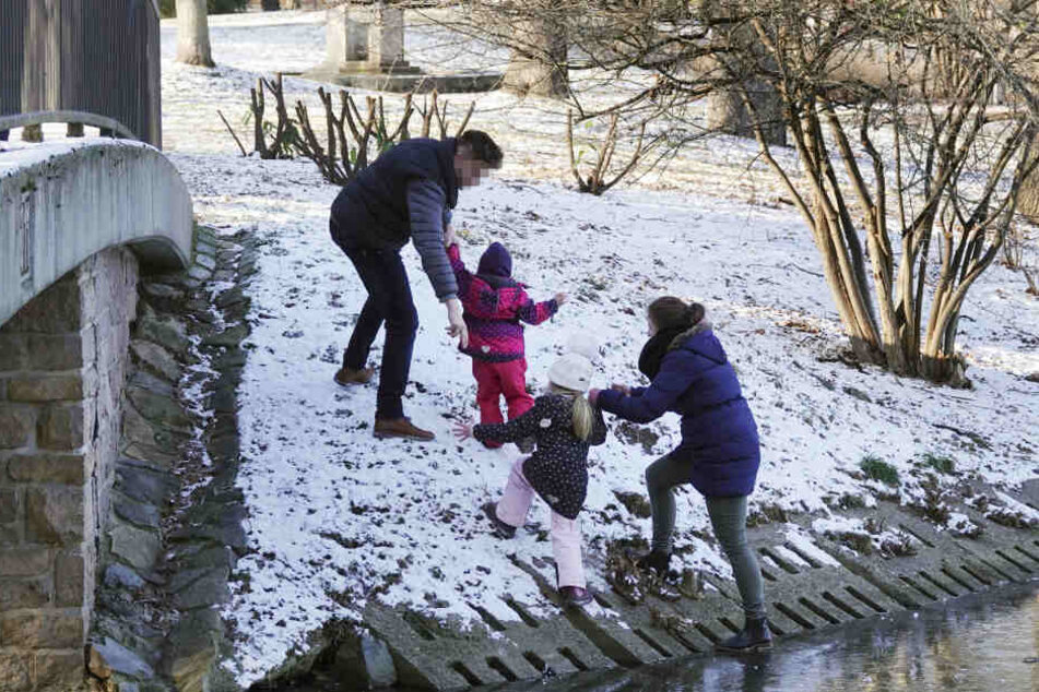 Diese Woche holte das Ordnungsamt eine vierköpfige Familie vom Schlossteich.