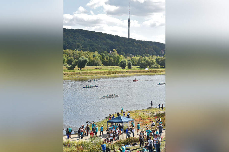 Bei der Ruder-Regatta auf der Elbe siegte am Ende der gute Zweck.