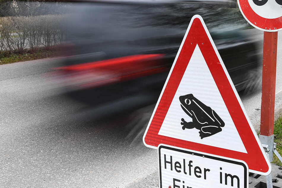 Tempo 30 soll helfen, damit so wenige Tiere wie möglich zu Tode kommen.
