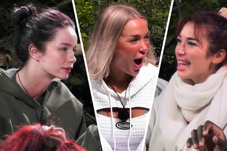 Nichts für schwache Nerven: Dieser TV-Zicken-Terror ist kaum noch zu ertragen!