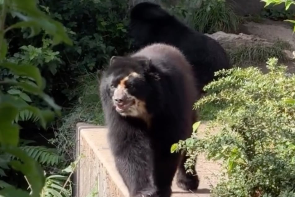 Nach einem Zoobesuch hatte die 25-Jährige einen kleinen Shitstorm kassiert. Teilweise kann sie diesen verstehen, eine Sache stört Antonia aber.