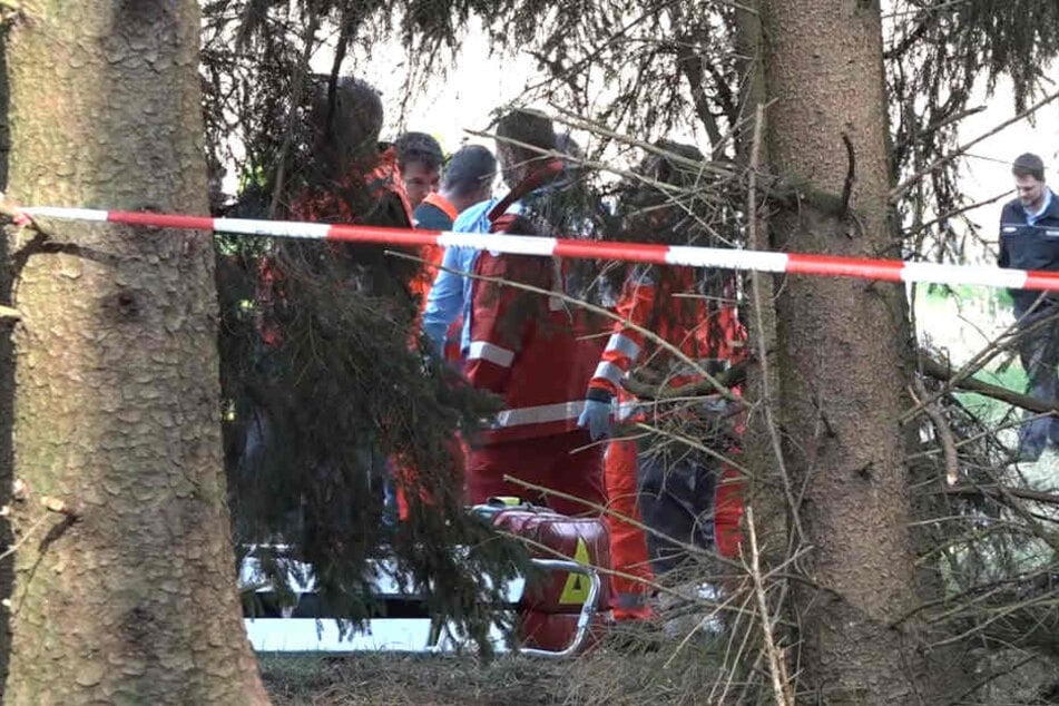 Beide Insassen wurden bei der Tragödie schwer verletzt.