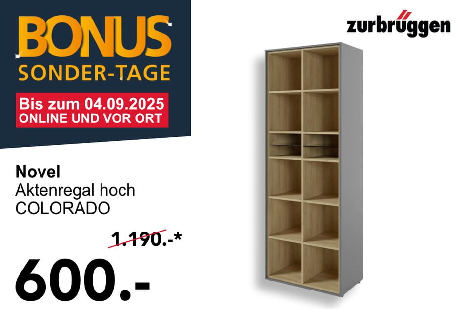 Das Novel Aktenregal COLORADO für 600 statt 1.190 Euro.