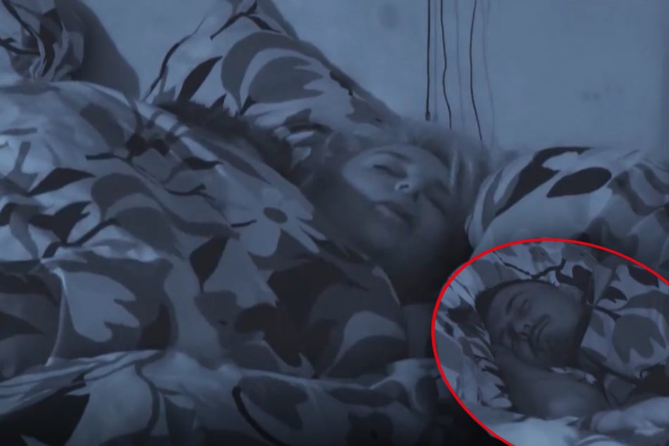 Franzi (30) lässt sich vom halb unter der Decke versteckten Calvin (32) verwöhnen. Dessen kleiner Bruder Marvin (30) liegt derweil daneben, schläft jedoch keineswegs ...