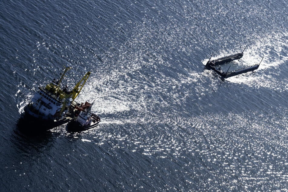 Buckelwal "Timmy" wird in der Barge in Richtung Nordsee gezogen.