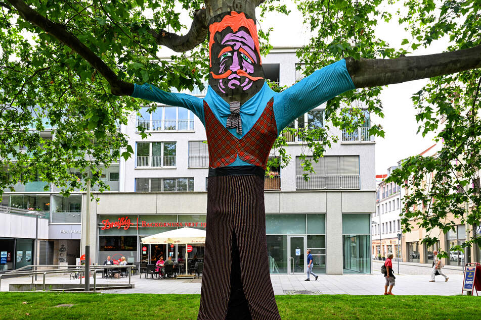 Fast scheint es, als breite dieser Baum-Herr seine Arme zum Empfang der Schaubudensommer-Gäste aus.