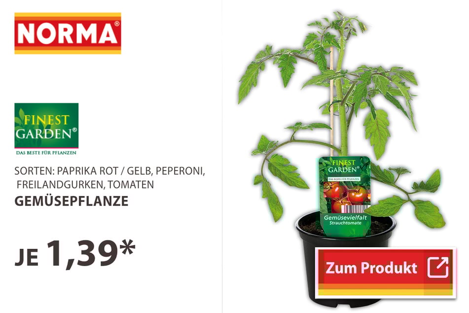 Gemüsepflanzen