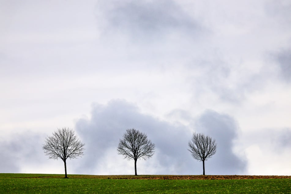 Die Sonne zeigt sich am Wochenende nur selten, meistens bleibt es wolkig in NRW. (Symbolfoto)