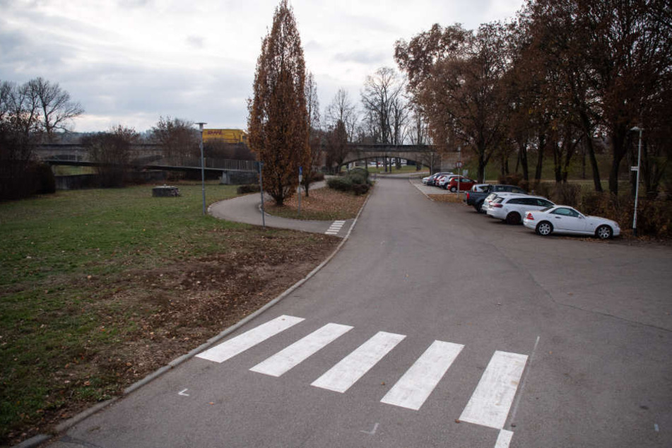 Nur ein kurzes Stück über die Grünfläche, dann erreicht man den Fußweg zur Neckarbrücke.