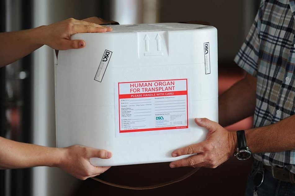 Eine Organtransportbox wird in den Räumen der Deutschen Stiftung Organtransplantation (DSO) in Berlin übergeben.