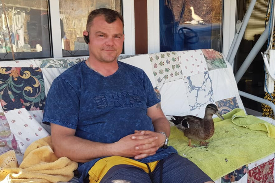 Stephan Lademann (44) kümmert sich seit einigen Jahren um verwaiste Entenküken – Fridolin hat er sogar adoptiert.