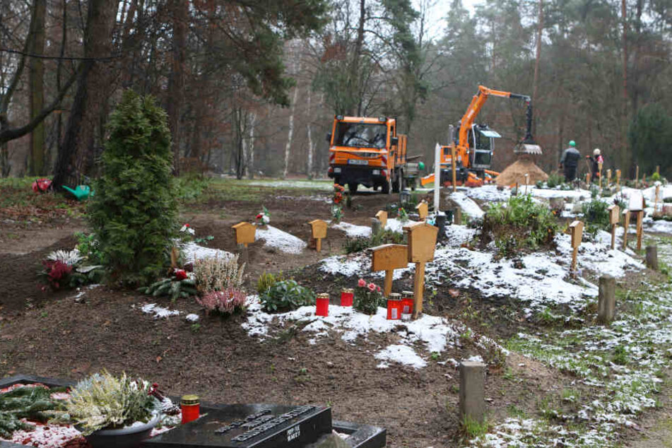 Zahlreiche Gräber wurden verwüstet.