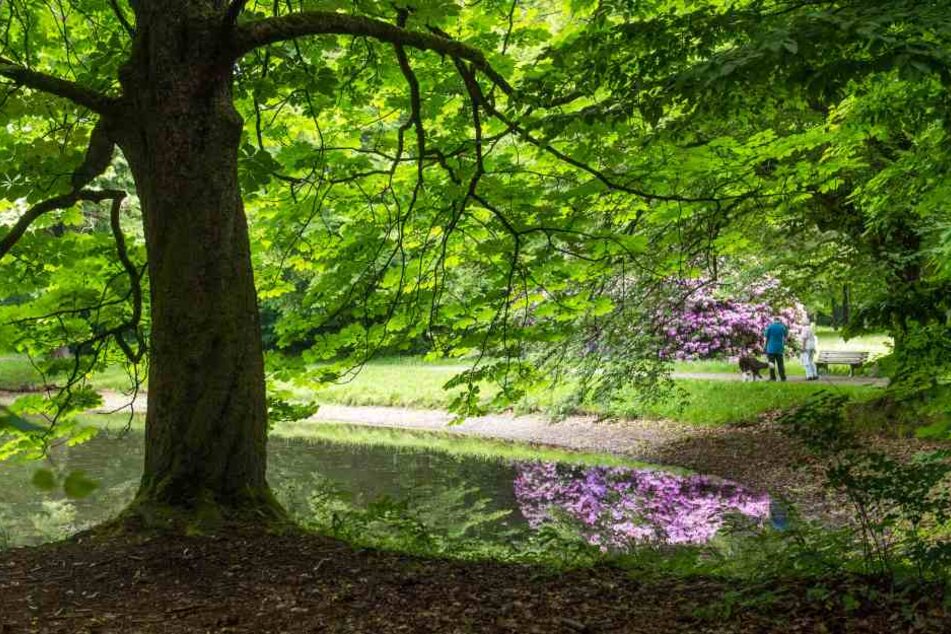 Ein Mann mit offener Hose belästigte ein Pärchen im Stadtpark. (Symbolbild)