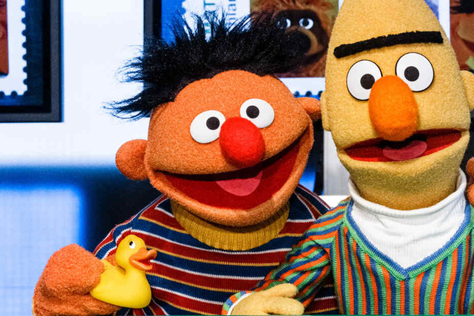 Hamburg So Habt Ihr Ernie Und Bert Noch Nie Gesehen Tag24