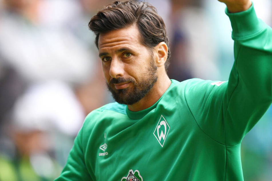 Claudio Pizarro könnte in Zukunft wieder für den FC Bayern München tätig sein.