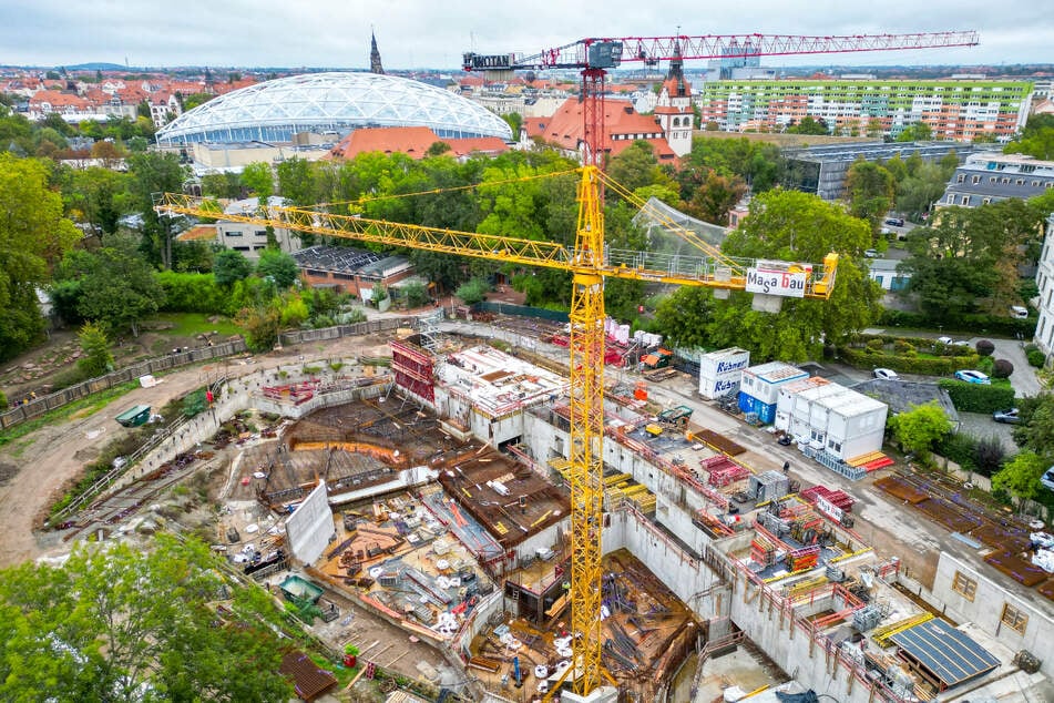 Großbaustelle Zoo: 2026 soll die neue Wasserwelt "Feuerland" fertiggestellt werden.