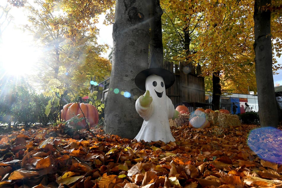 Vor dem Regenwetter am Freitag soll es nochmal einige herbstliche Sonnenstrahlen geben. (Archivbild)