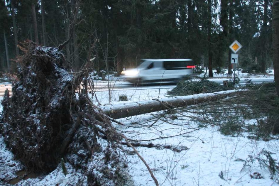 Neben vielen umgeknickten Bäumen gab es im Erzgebirge auch noch etwas Neuschnee.