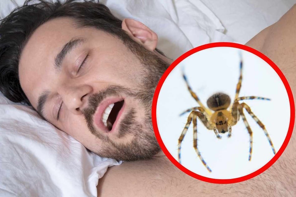 Szenen wie aus einem Albtraum: Offenbar war eine Spinne in den Hals eines schlafenden Mannes gekrabbelt. (Symbolbild)
