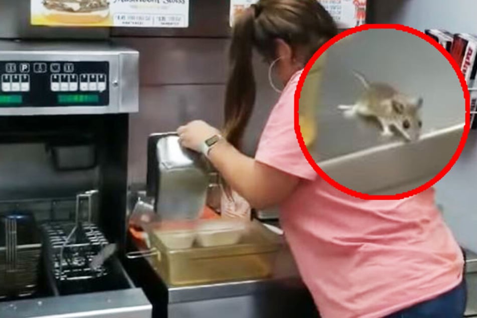 Sprung in die Fritteuse: Besuch in Restaurant endet für Ratte tödlich!